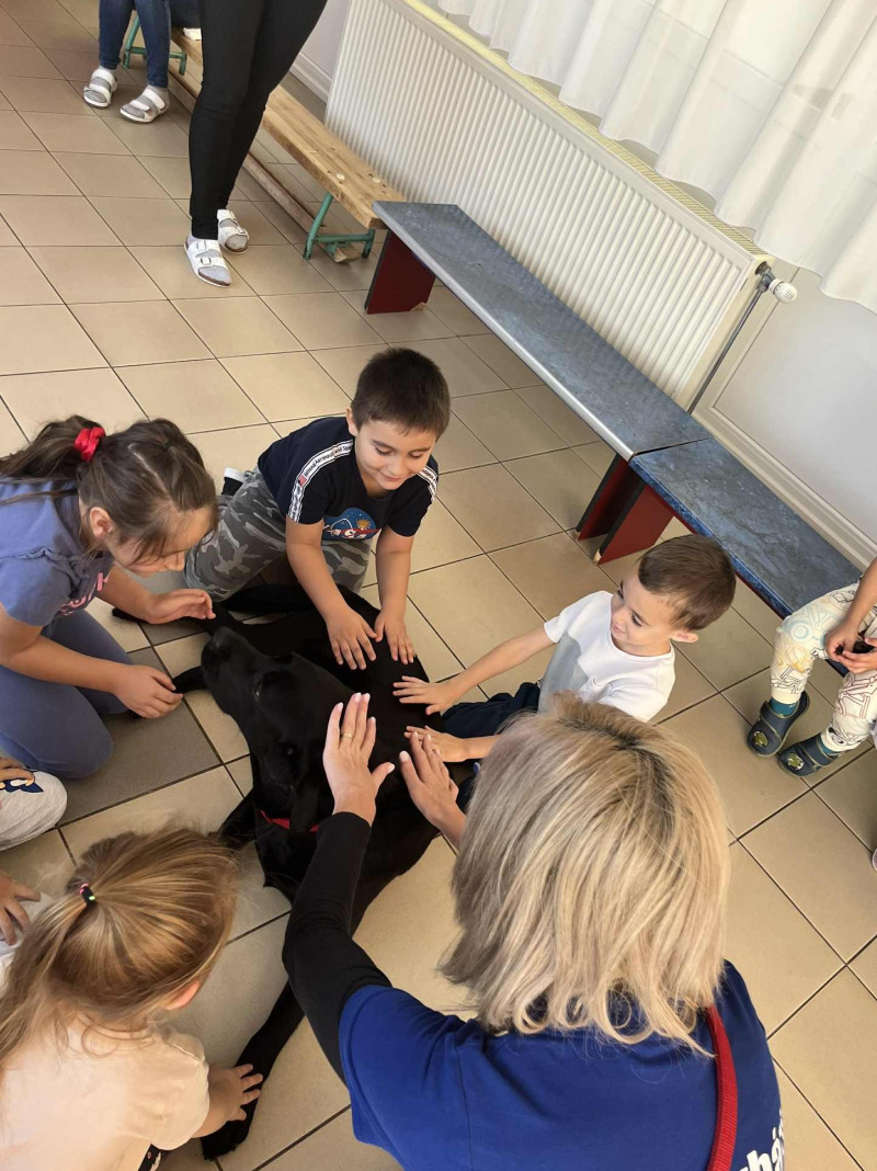 Terápiás kutya foglalkozás