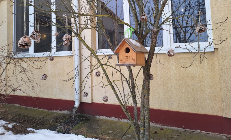 Tevékeny hétköznapok, téli madáretetés